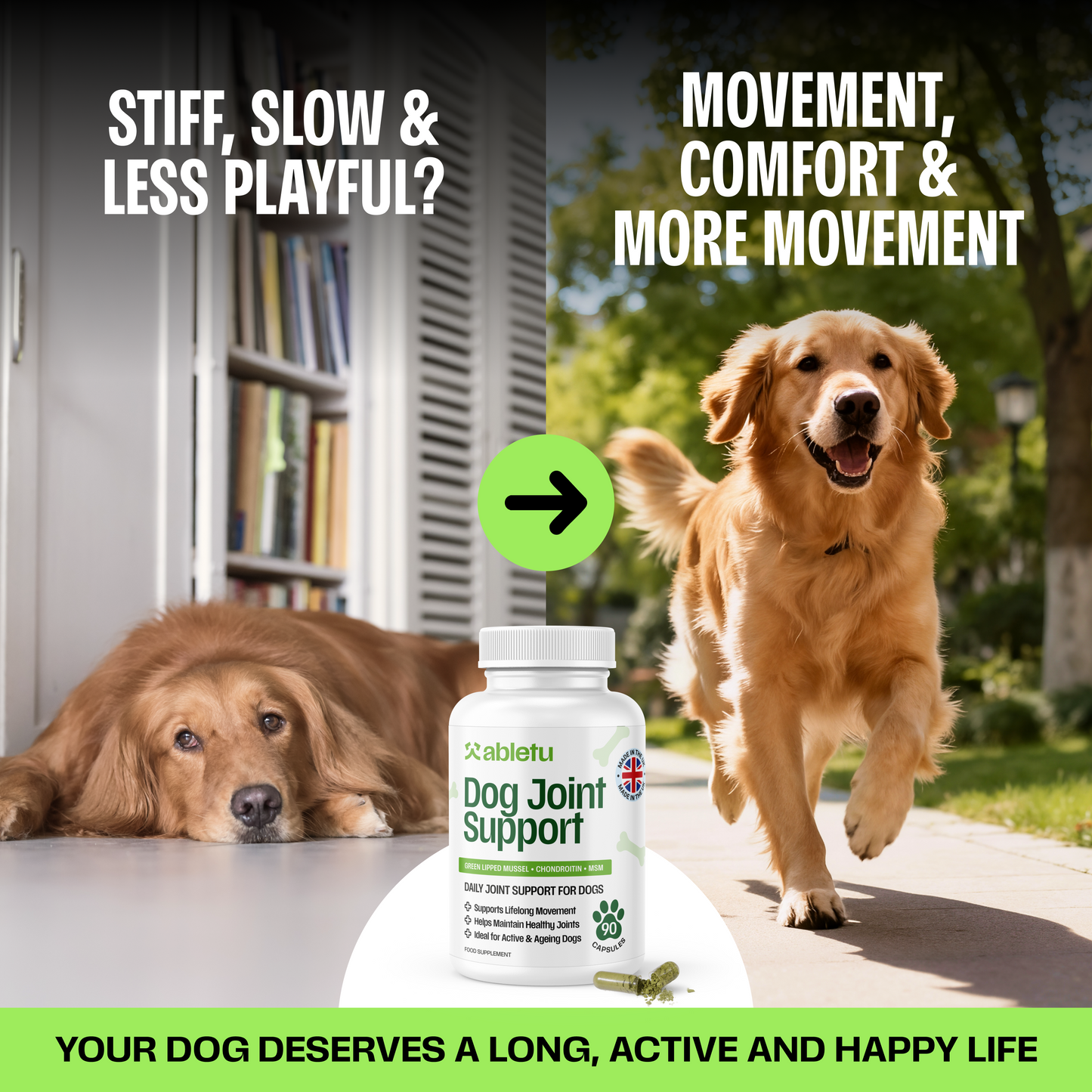 Joint Support for Dogs