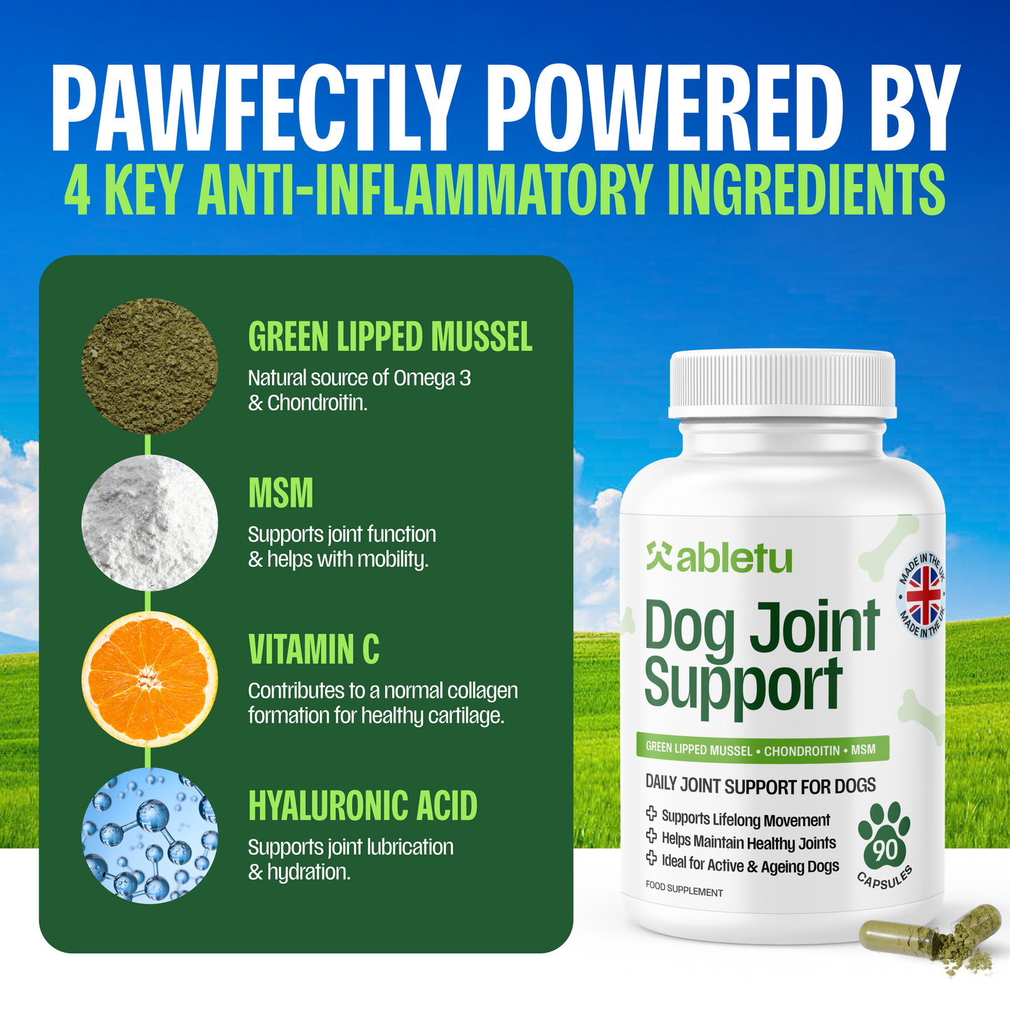 Joint Support for Dogs
