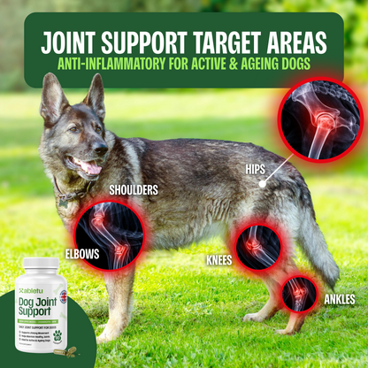 Joint Support for Dogs