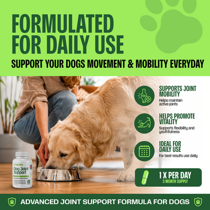 Joint Support for Dogs