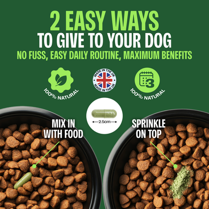 Joint Support for Dogs