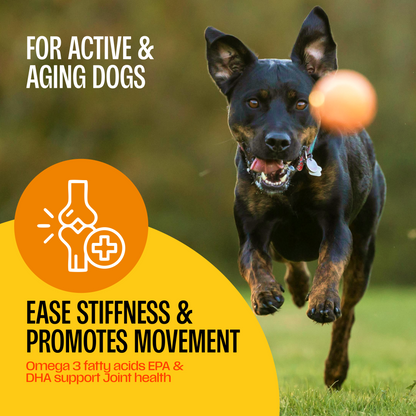 Fish Oils for Dogs