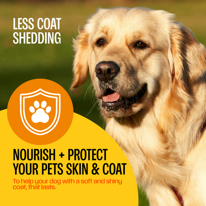 Fish Oils for Dogs