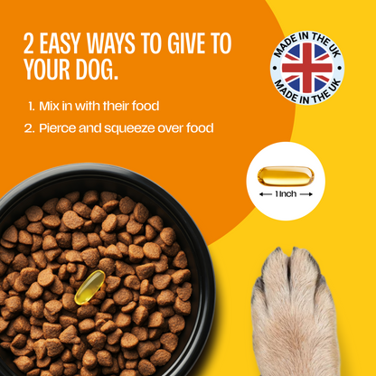 Fish Oils for Dogs