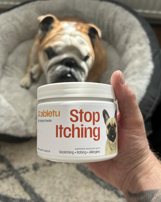 My Bulldog isn't itchy anymore