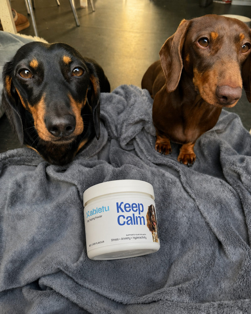 Abletu customer dog