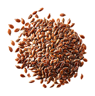 Flax Seed