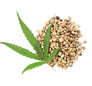 Hemp Seed